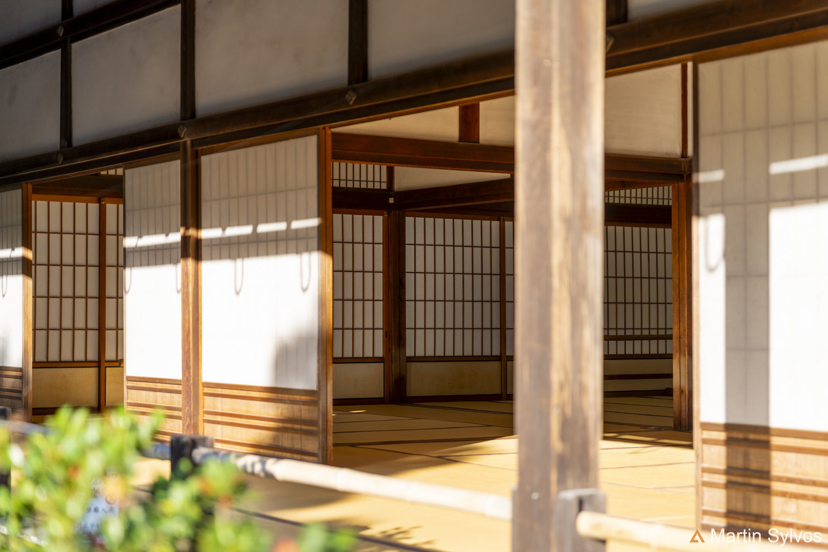 2025 Japon martin sylvos 35